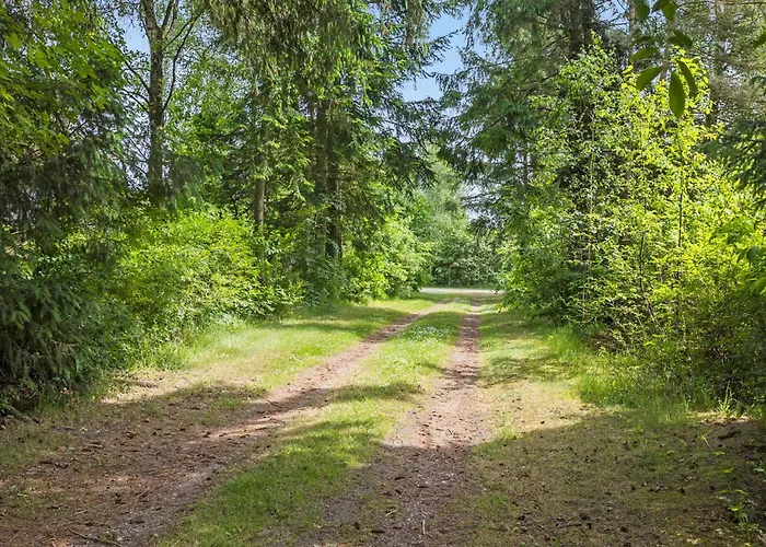 3 Bedroom Pet Friendly In *
